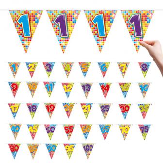 Zahlen-Wimpel-Girlande "Happy Crazy Birthday" 6 m - 35