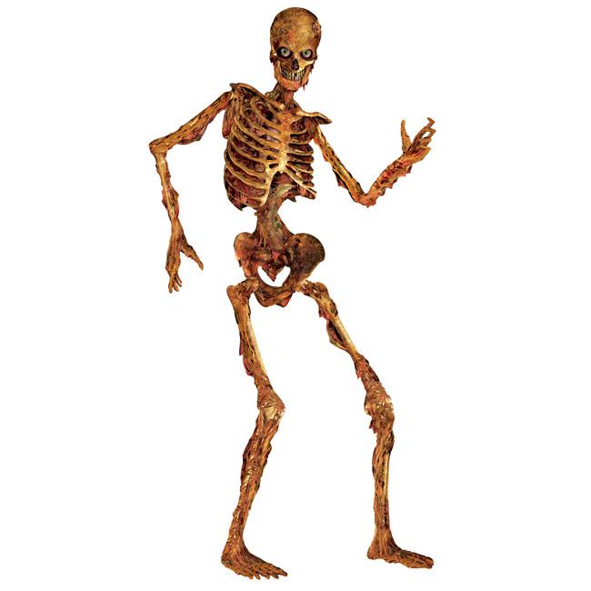 Wanddeko Skelett Gregor 180 cm günstig kaufen bei