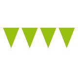 Einfarbige Wimpel-Girlande 10 m-grün