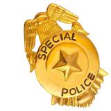 Goldene Brosche "Police"