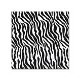 Zebra strumpfhose - Der absolute Favorit unserer Produkttester